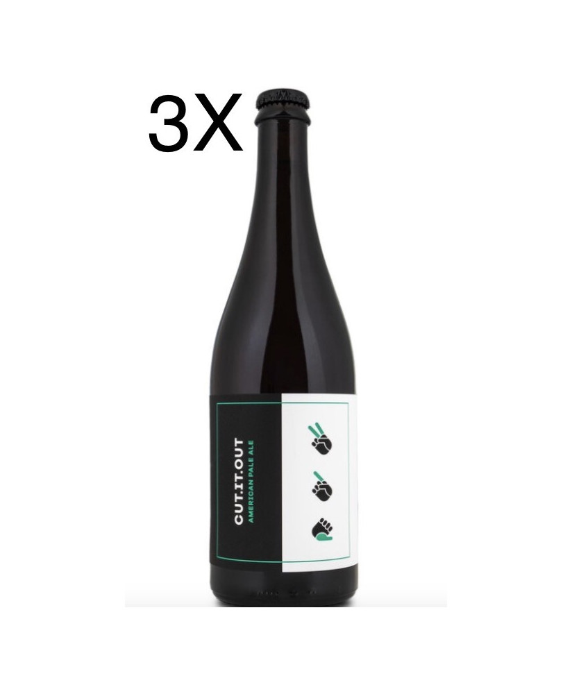 (3 BOTTLES) Noiz - Cut.It.Out - American Pale Ale - 75cl