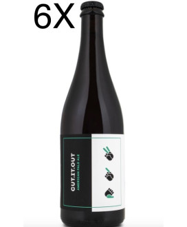 Birrificio Noiz vendita online birra artigianale Cut.It.Out American Pale Ale. Shop online prezzo birre artigianali di qualità. 