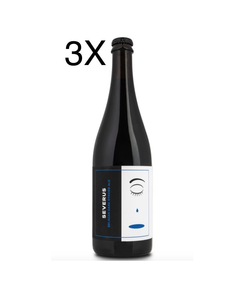 Noiz - Severus - Belgian Dark Strong Ale - 75cl