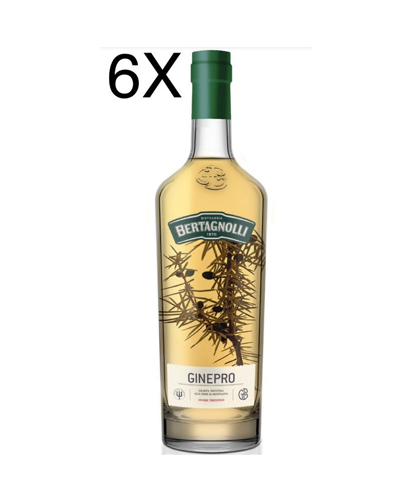 (3 BOTTLES) Bertagnolli - Grappa Juniper - 70cl