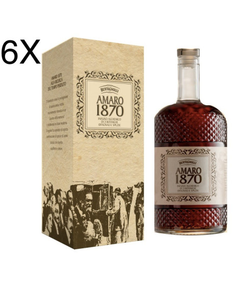 (6 BOTTIGLIE) Bertagnolli - Amaro 1870 - Astucciato - 70cl