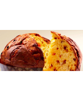 Vendita online panettone Filippi Classico Avorie'. Shop on line panettoni artigianali della pasticceria Filippi, prodotto da for