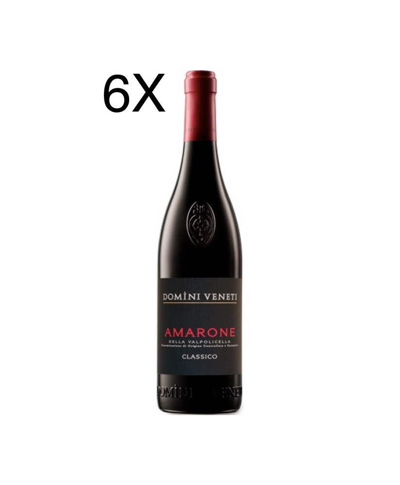 (3 BOTTLES) Domìni Veneti - Amarone 2015 - DOCG - 75cl