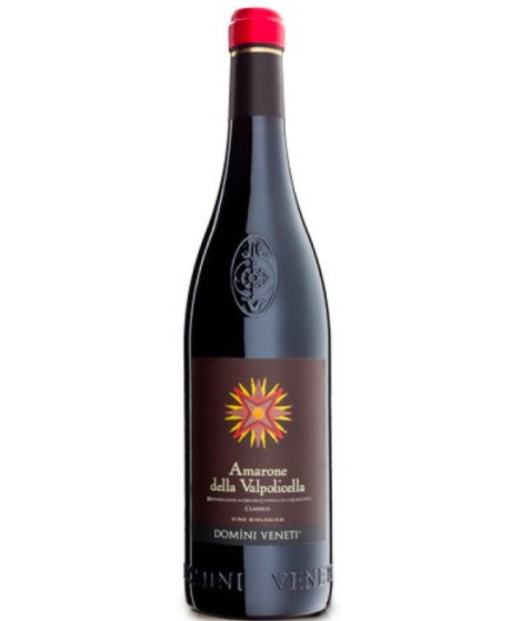 Domìni Veneti - Amarone 2019 - Organic - DOCG - 75cl