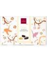 Domori - Filetti di Zenzero ricoperti di cioccolato Fondente - 150g