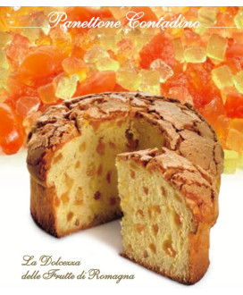 Vendita online panettone Flamigni Contadino. Shop on-line panettoni artigianali di alta pasticceria, dolce da forno