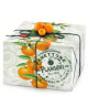 Flamigni - Ciaculli&#039;s Tangerine Panettone - 1000g