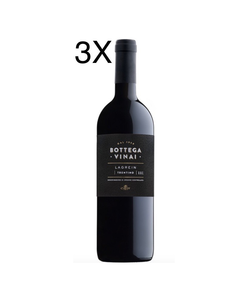 Cavit - Lagrein 2017 - Bottega Vinai - Trentino DOC - 75cl