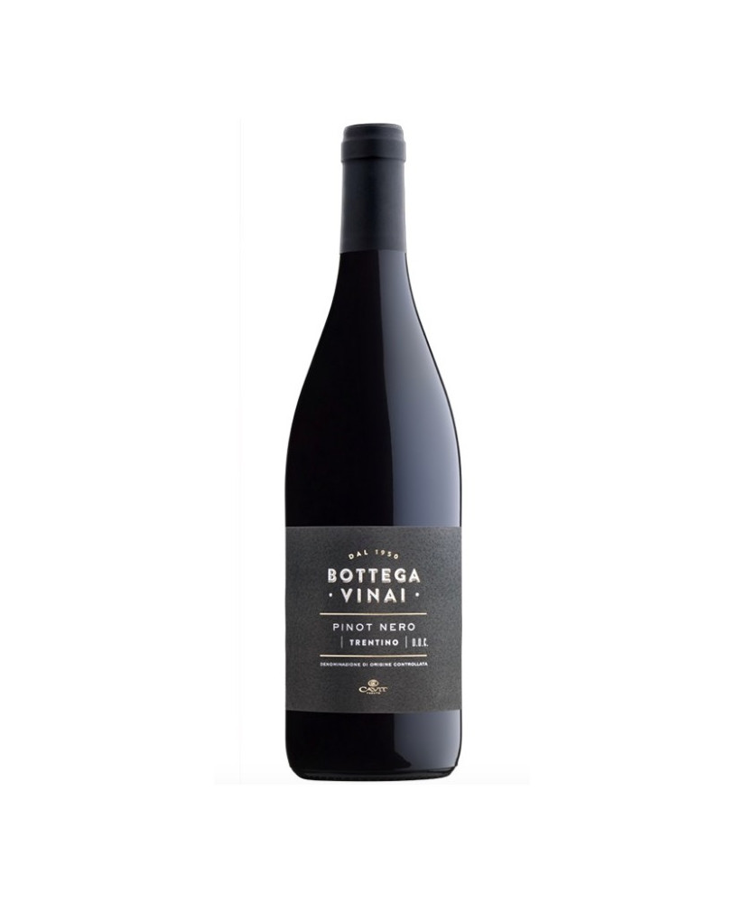 Cavit - Pinot Nero 2018 - Bottega Vinai - Trentino DOC - 75cl