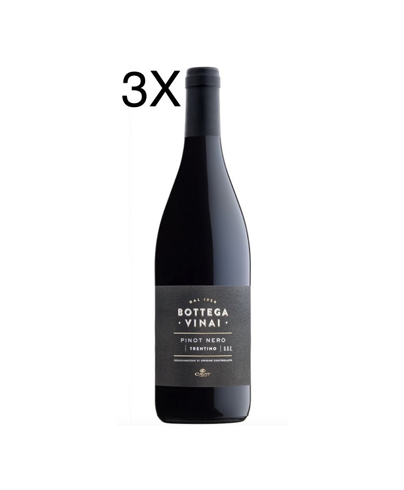 Cavit - Pinot Nero 2018 - Bottega Vinai - Trentino DOC - 75cl