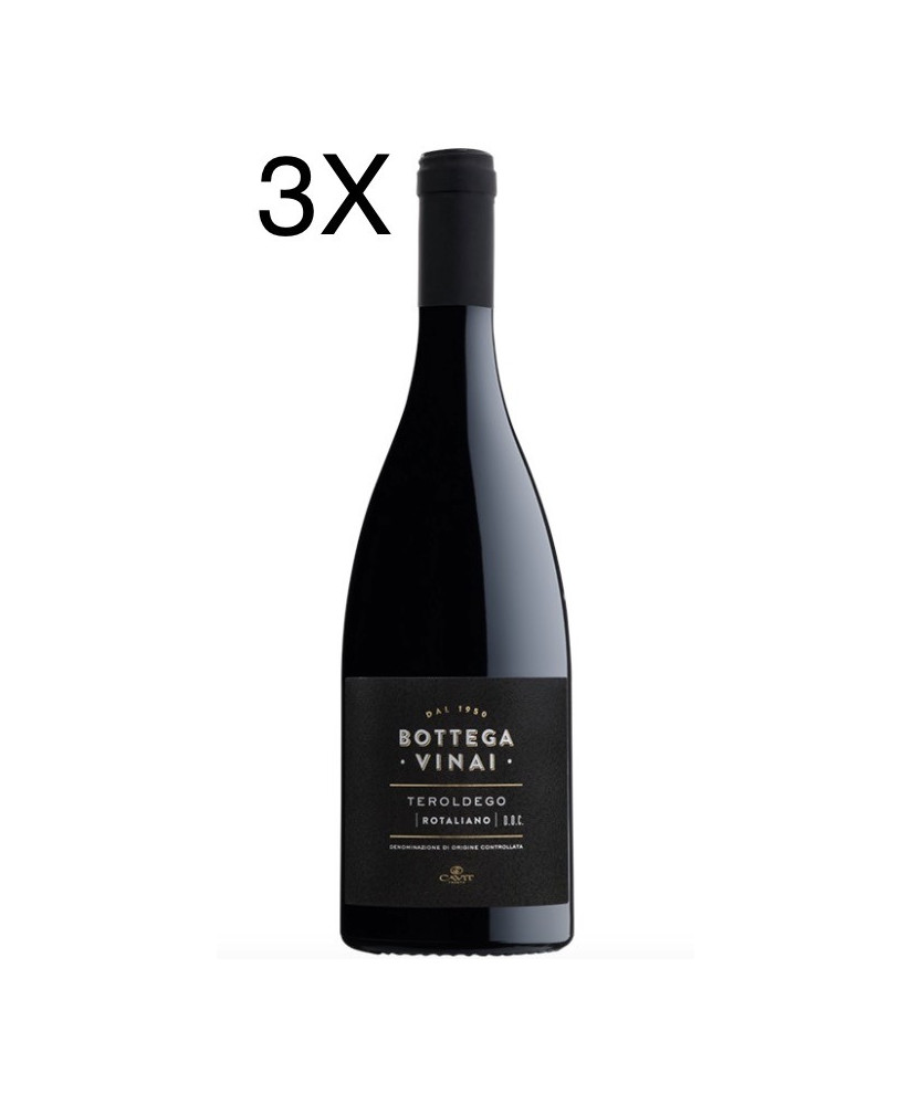 Cavit - Teroldego Rotaliano 2017 - Bottega Vinai - DOC - 75cl