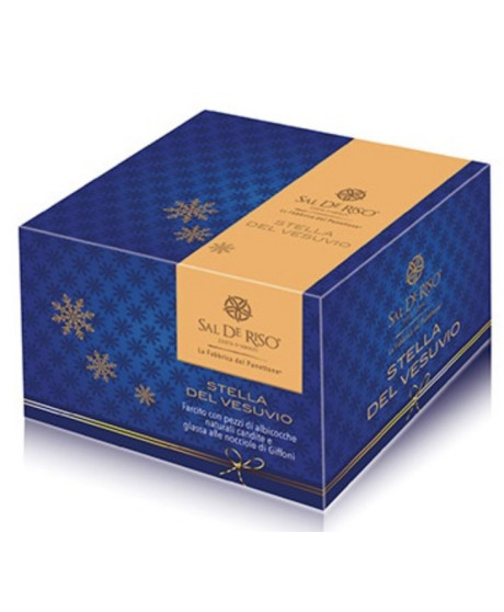 Sal de Riso - Stella del Vesuvio - Apricot Christmas Cake - 1000g