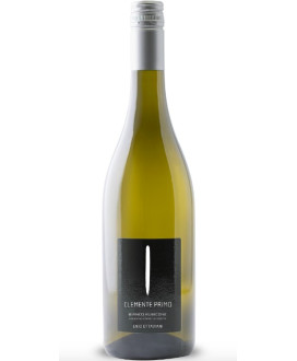 Vendita online Bianco Rubicone Clemente I dell' Azienda Agricola Enio Ottaviani - Vino bianco morbido, piacebvole, fruttato. Eno