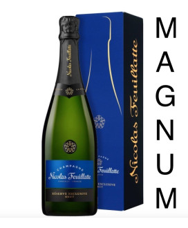 Vendita online Champagne Nicolas Feuillatte Brut Réserve. Shop on line champagne francese di qualità al miglior prezzo