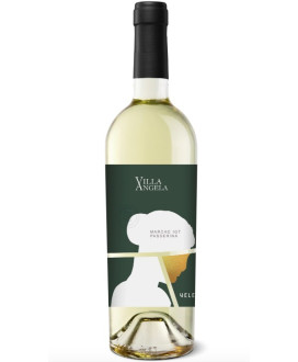 Velenosi Vini - Passerina - Villa Angela - Marche IGT - Vendita online vino bianco profumato marchigiano passerina.