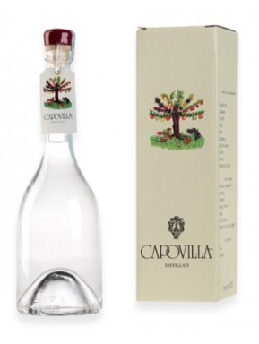 Capovilla - Distillato di Ciliegie Duroni - Astucciato - 50cl