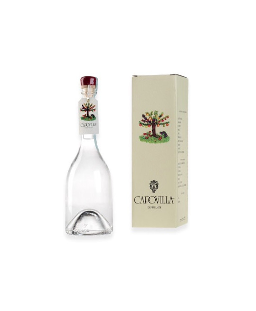 Capovilla - Distillato di Ciliegie Duroni - Astucciato - 50cl