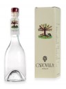 Capovilla - Distillate "Duroni" Cherries - Gift Box - 50cl