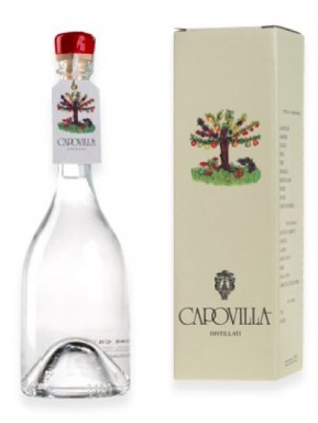 Capovilla - Distillato di Amarene e Marasche - Astucciato - 50cl