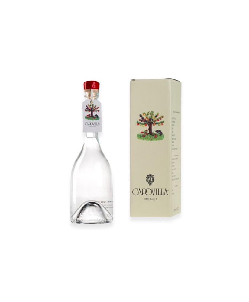 Capovilla - Distillato di Amarene e Marasche - Astucciato - 50cl