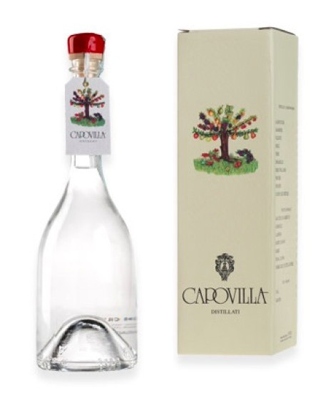 Capovilla - Distillato di Amarene e Marasche - Astucciato - 50cl