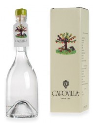 Capovilla - Distillato di Amarene e Marasche - Astucciato - 50cl