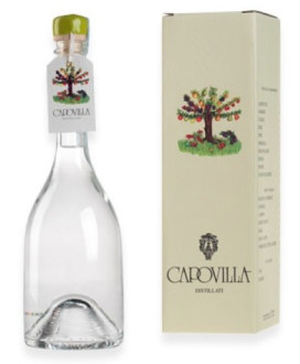 Capovilla - Distillato di Amarene e Marasche - Astucciato - 50cl