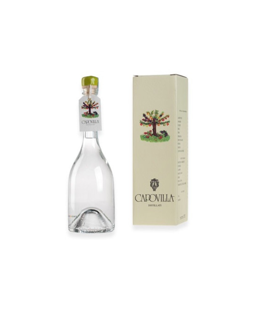 Capovilla - Distillato di Amarene e Marasche - Astucciato - 50cl