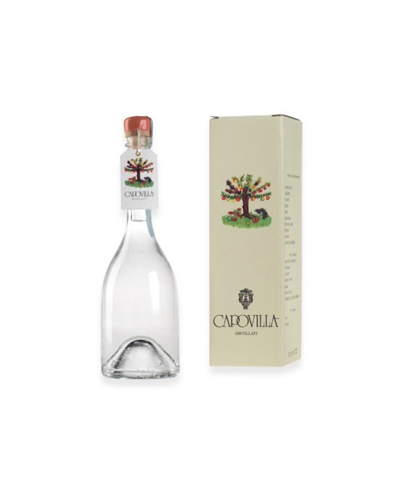 Capovilla - Distillato di Pesche Saturno - Astucciato - 50cl