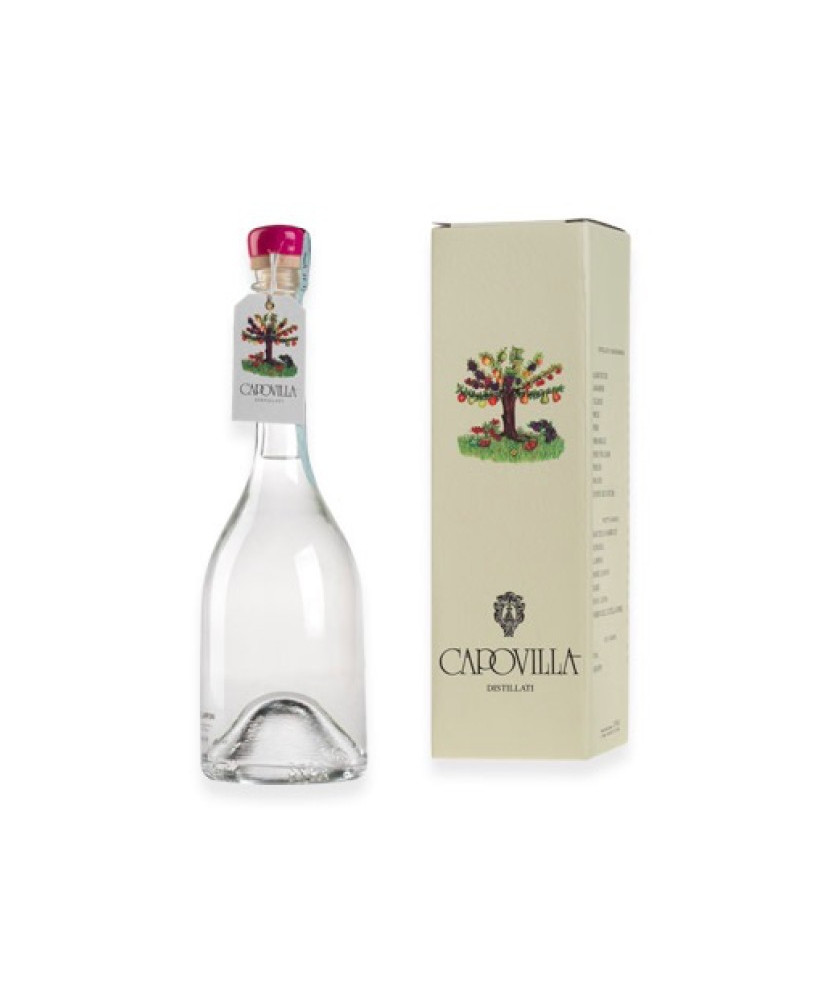 Capovilla - Distillato di Pesche Saturno - Astucciato - 50cl