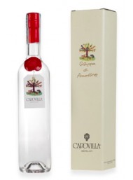 Capovilla - Bassano Classic - White Grappa - Gift Box - 70cl