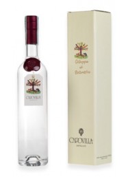 Capovilla - barolo - White Grappa - Gift Box - 50cl
