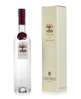 Capovilla - barolo - White Grappa - Gift Box - 50cl