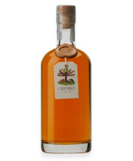 Capovilla - Grappa di Brunello - Astucciata - 50cl