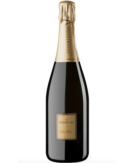 Ferghettina - Extra Brut 2013 - Franciacorta DOCG - 75cl