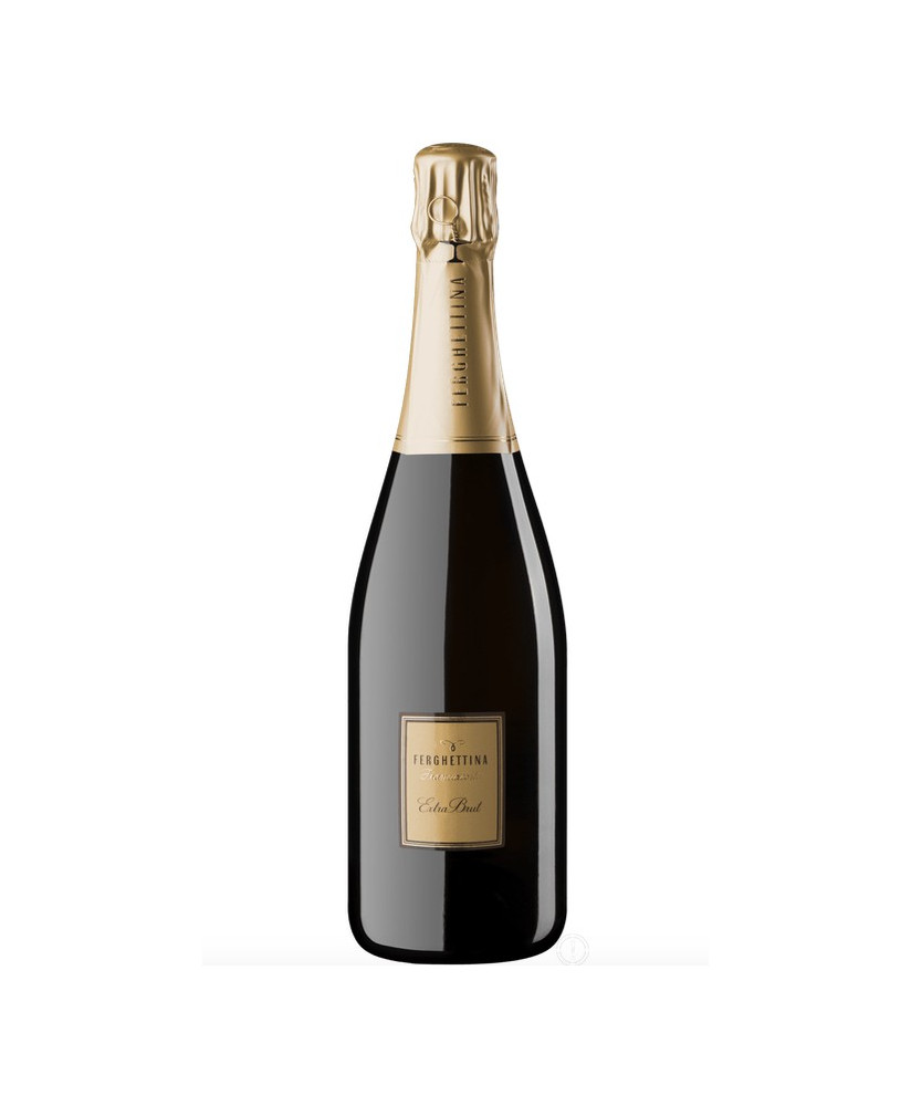Ferghettina - Extra Brut 2013 - Franciacorta DOCG - 75cl