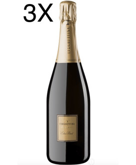 Ferghettina - Extra Brut 2013 - Franciacorta DOCG - 75cl