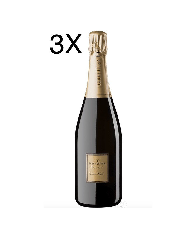 Ferghettina - Extra Brut 2013 - Franciacorta DOCG - 75cl