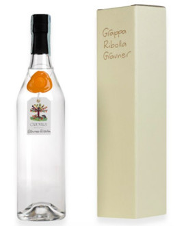 Capovilla - Grappa di Ribolla Gialla Gravner - Astucciata - 50cl