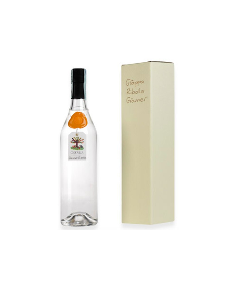 Capovilla - Grappa di Ribolla Gialla Gravner - Astucciata - 50cl