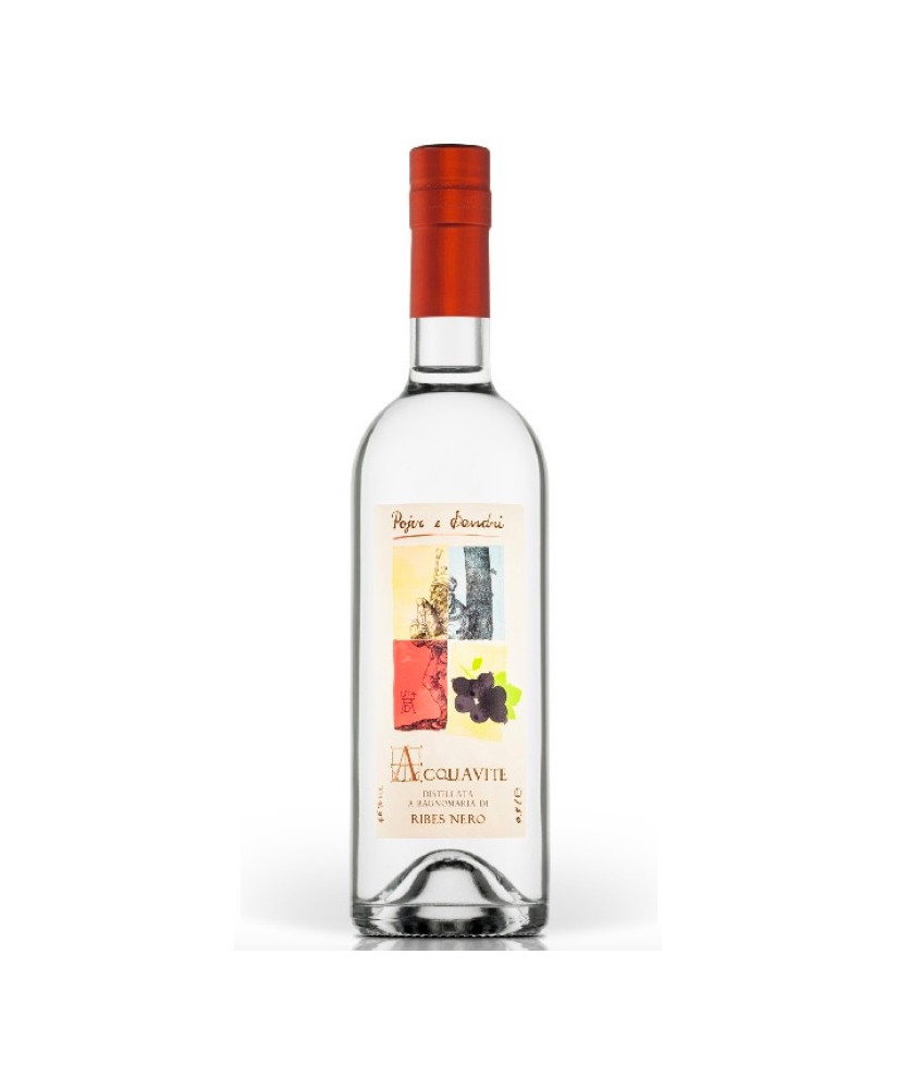 Pojer & Sandri - Acquavite di ribes nero - Astucciato - 50cl