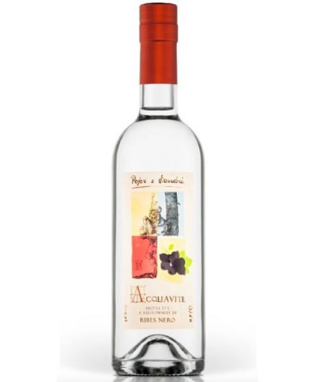 Pojer & Sandri - Acquavite di ribes nero - Astucciato - 50cl Pojer & Sandri - Acquavite di ribes nero - Astucciato - 50cl