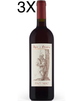 Pojer e Sandri - Pinot Nero 2019 - Vigneti delle Dolomiti IGT - 75cl