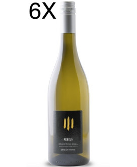 (6 BOTTIGLIE) Enio Ottaviani - Rebola 2020 - Colli di Rimini DOP - 75cl