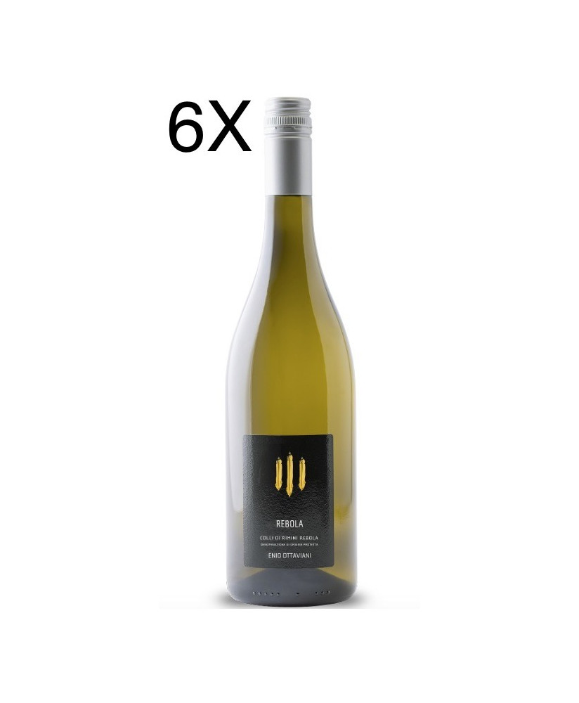 (6 BOTTIGLIE) Enio Ottaviani - Rebola 2020 - Colli di Rimini DOP - 75cl