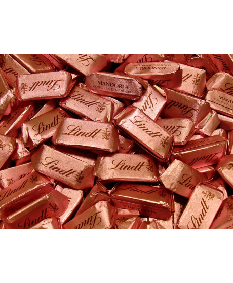 Lindt - Pralina alla Mandorla - 100g