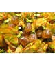 (1000g) Venchi - Gelatine Gusto Lime