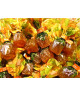(1000g) Venchi - Gelatine con Succo di Carota, Arancia e Limone