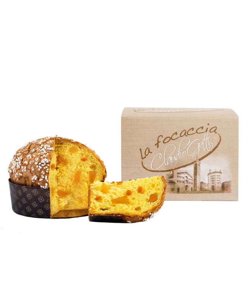 Vendita online Panettoni artigianali della Pasticceria Tabiano, senza conservanti con frutta candita a pezzettoni. Shop on line 