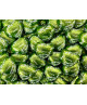 Lindt - Lindor Cuore - Pistacchio - 100g - NOVITA'